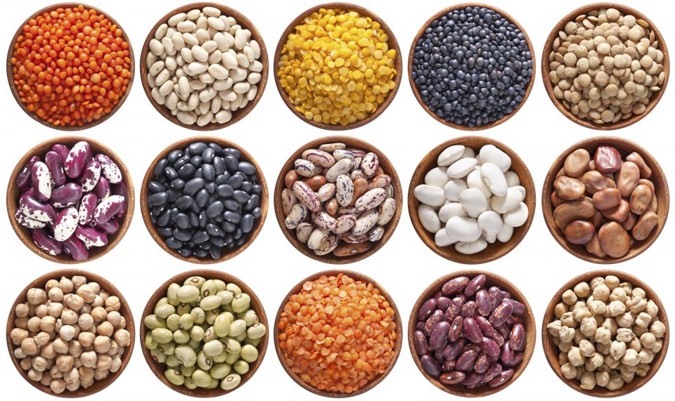 large_Pulses-cropped