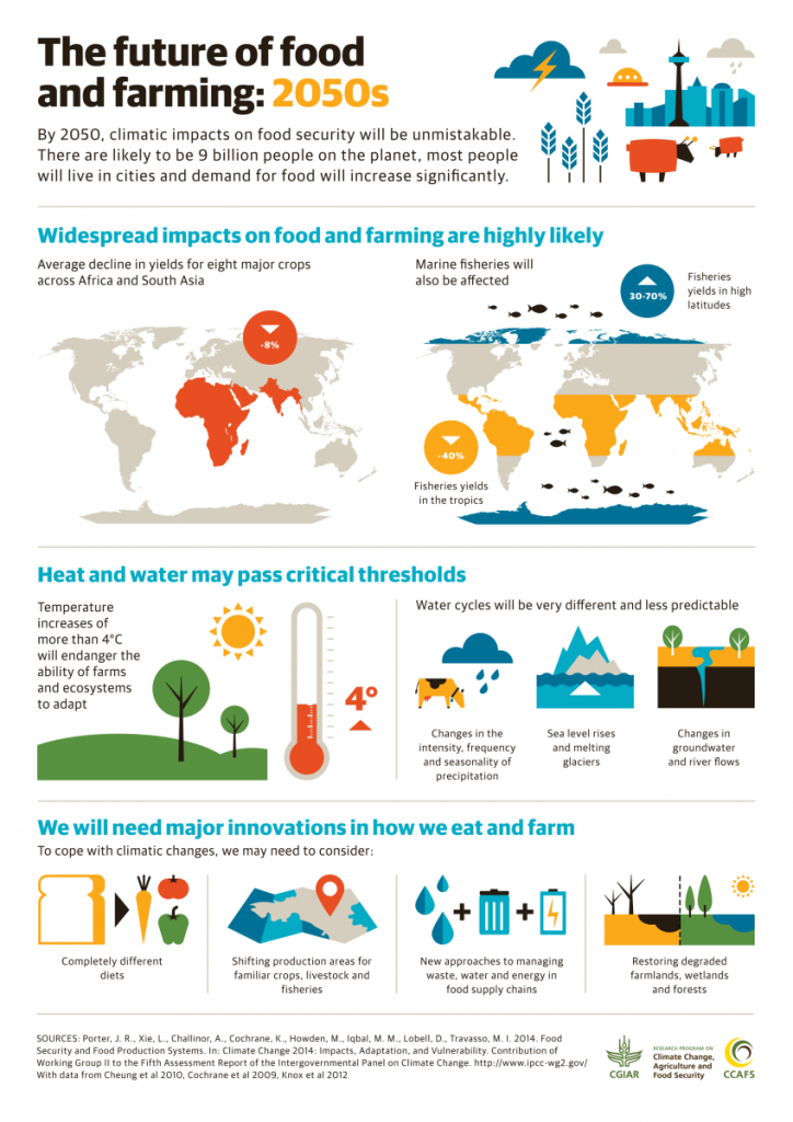 Climate Change, the Future of Farming, and Moringa - Kuli Kuli Foods