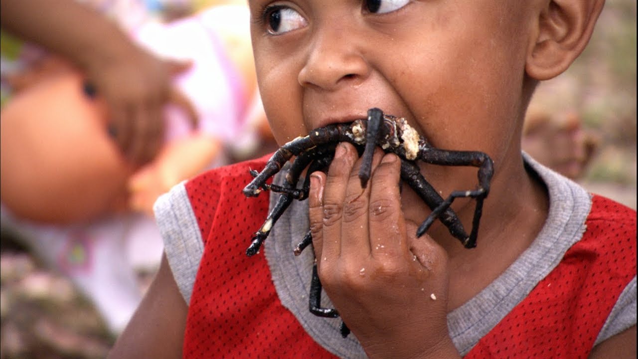 Ужасно топ 10. Самые страшные насекомые в мире.