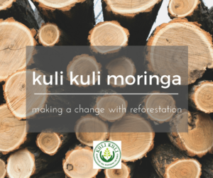 moringa reforestation project
