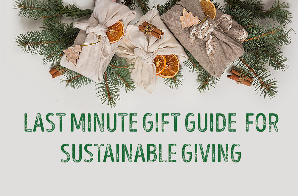 Last Minute Sustainable Gift Ideas