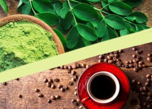 Caffeine From Coffee Versus Non-Caffeinated Natural Moringa Superfood