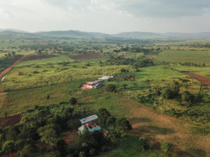 Climate-friendly farm in Uganda