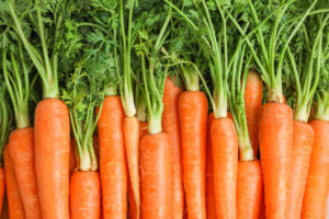 Ripe fresh carrots with carrot tops