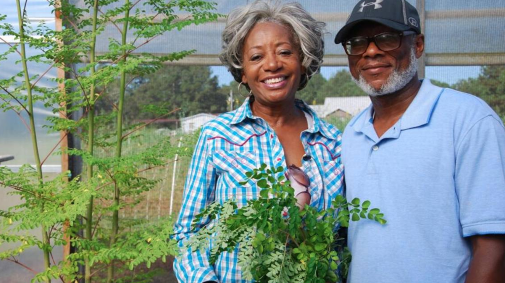 Meet Russell & Jewell Bean Leaders in the Moringa Movement Kuli Kuli