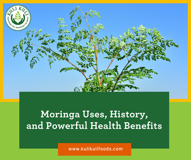 moringa uses history powerful benefits