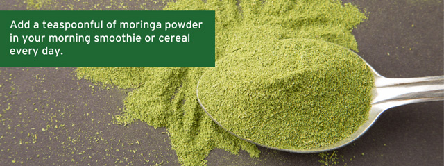 Teaspoonful of moringa powder
